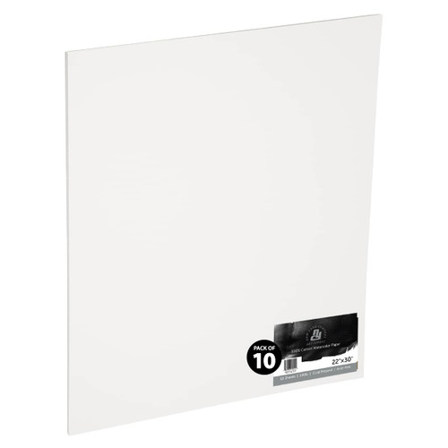 New York Central Watercolor Paper 10 Pack 140 lb. Cold Press 22X30 - (91545) New York Central Watercolor Paper 10 Pack 140 lb. Cold Press 22X30 - (91545)