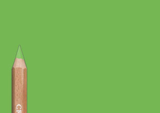 Cretacolor MegaColor Pencil Moss Green Light - (1000083513)