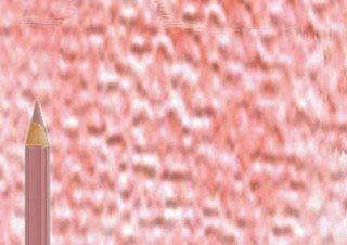 Polychromos Pencil 130 Salmon (Formerly Dark Flesh) - (1000971037)