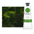 Gamblin Artist's Oil Color Sap Green 37mL Tube - (49538)