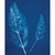Jacquard Cyanotype Products
