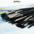 Black Swan Long Handle Brushes Black Swan Long Handle Brushes