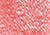 Faber-Castell Pitt Pastel Pencil 118 Scarlet Red - (1000037020)