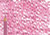 Polychromos Pencil 125 Middle Purple Pink - (1000970978)