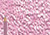 Polychromos Pencil 135 Light Red-Violet - (1000970981)