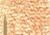Polychromos Pencil 183 Light Yellow Ochre - (1000971024)