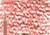 Polychromos Pencil 188 Sanguine - (1000971029)