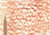 Polychromos Pencil 186 Terracotta - (1000971027)