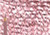 Polychromos Pencil 192 India Red (Formerly Indian Red) - (1000971033)
