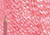 Polychromos Pencil 219 Deep Scarlet - (1000004747)