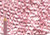 Polychromos Pencil 193 Burnt Carmine - (1000971034)