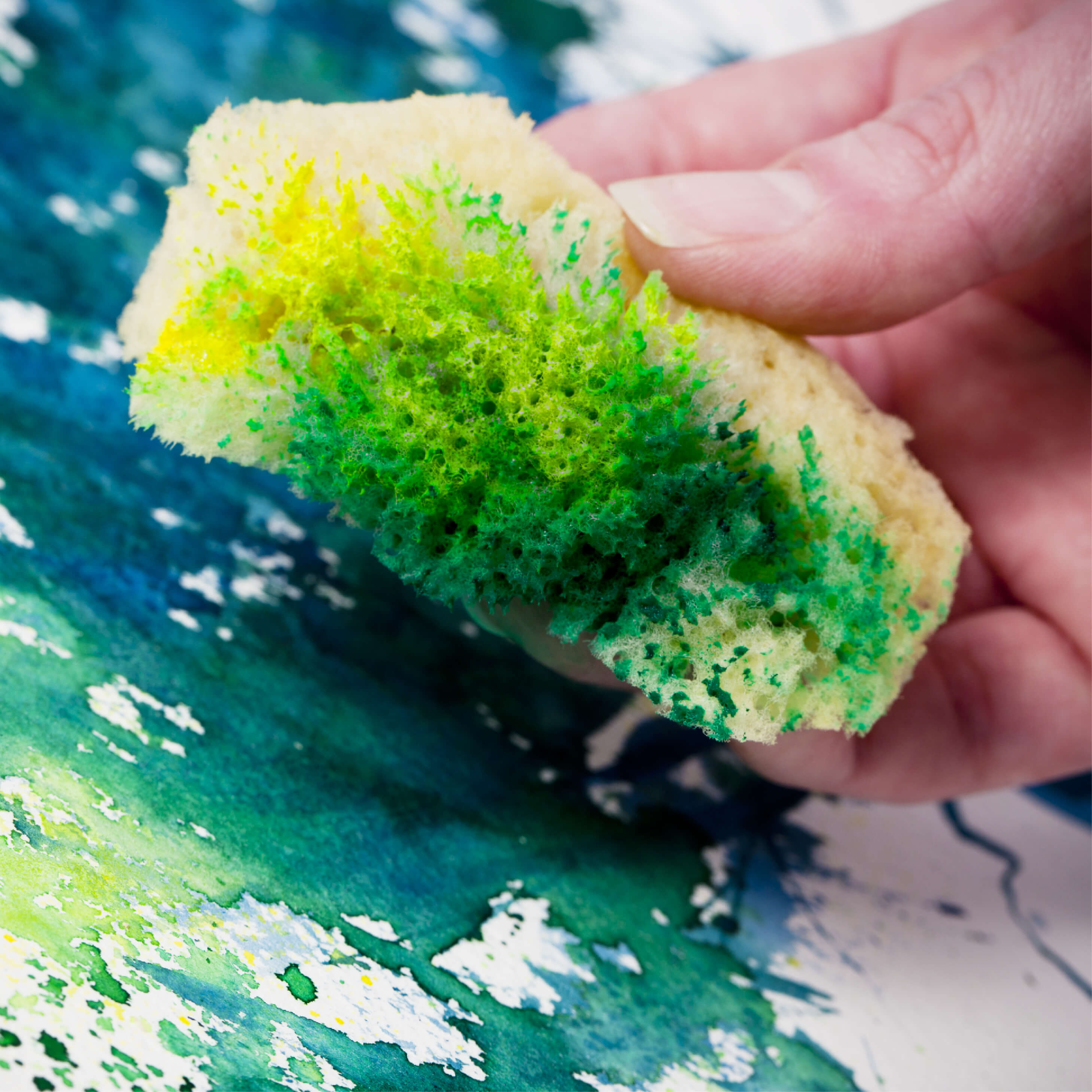 Sponges