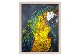 Denver .75in Wood Frame 2mm Glass & Cardboard Backing 8x10 - White Wash - (200019739)