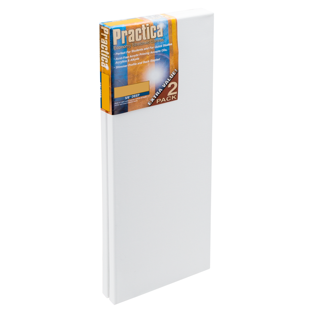 Practica 5/8" Deep Economy Stretched Canvas 2-Pack - 8"x20"