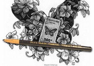 General Pencil Peel & Sketch Soft Charcoal Pencil - (1000032146)
