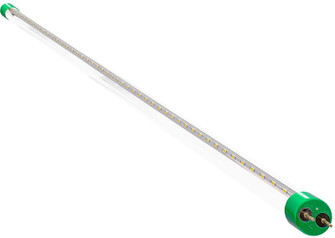 LED T8 4Ft in Clear (418|T8-EZ6-GS-4FT-15W-35K-C)