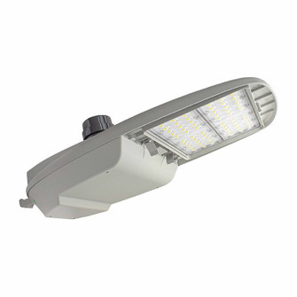 Street Light in Light Grey (418|STL3-150W-50K-480V)