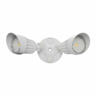 Security/Wall Light in White (418|SL-20W-MCT-WH-D)