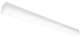 4Ft Power And Cct Tunable Linear Strip Light in White (418|LSS-4FT-46W-MCTP)