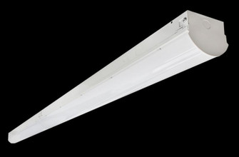 LED Strip Light in White (418|LSL-8FT-80W-50K-D-A)