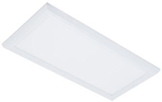 Internal-Driver LED Surface Mount Panels in White (418|LPS-1X2-40K-D)