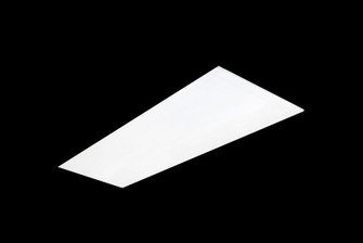 LED Backlit Panel Light in White (418|LPNG-1X4-MCTP)