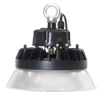 High Lumen LED Mini High Bay in Black (418|LHB2-50W-50K)