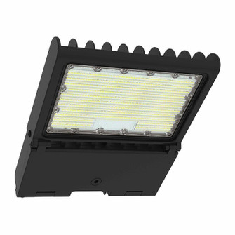 Flood-Area Light in Bronze (418|LFXPRO-LG-50-150W-MCTP-BK)