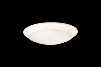 Disk Light in White (418|DLS8-MCT)