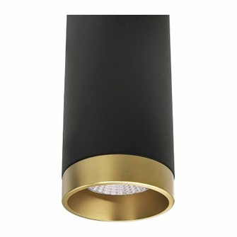 Ceiling Mount in Anodized Gold (418|CMC6-TRM-AG)