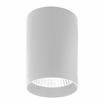 Ceiling Mount in White (418|CMC6-MCTP-DD-WH)