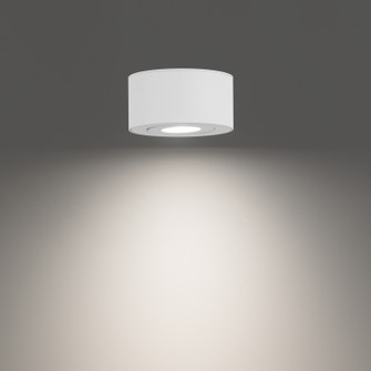 Peek LED Outdoor Flush Mount in White (34|FM-W45205-40-WT)