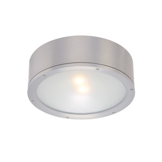 Tube LED Flush Mount in Brushed Aluminum (34|FM-W2612-AL)