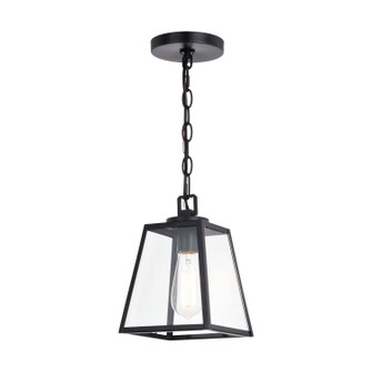 Grant One Light Mini Pendant in Black (63|P0346)