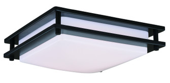 Horizon LED Flush Mount in Oil Burnished Bronze (63|C0153)