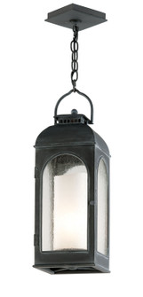 Derby One Light Hanging Lantern in Antique Iron (67|F3287)