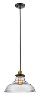 Jackson One Light Pendant in Rubbed Oil Bronze (110|70824 ROB)