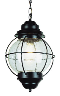 Catalina One Light Hanging Lantern in Black (110|69906 BK)