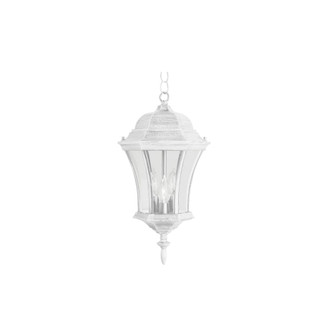 Burlington Three Light Hanging Lantern in White (110|4505 WH)