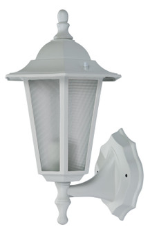 Alexander One Light Wall Lantern in White (110|4055 WH)
