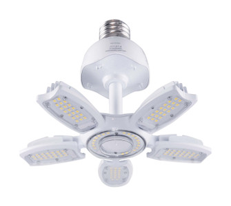Light Bulb (230|S39751)