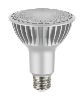 Light Bulb in Silver (230|S22242)