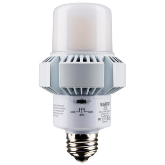 Light Bulb in White (230|S13160)