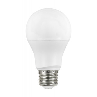 Light Bulb in White (230|S11421)