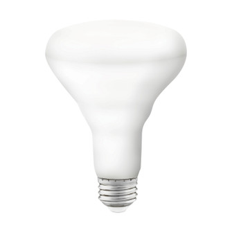 Light Bulb (230|S11255)