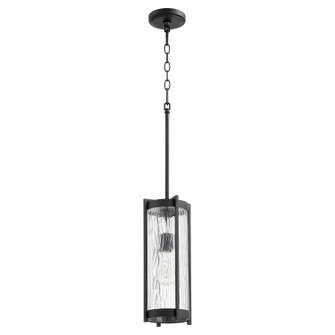 Chisseled Pendants One Light Pendant in Textured Black w/ Clear Chisseled Glass (19|809-69)