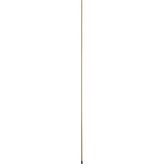60 in. Downrods Downrod in Antique Brass (19|6-604)