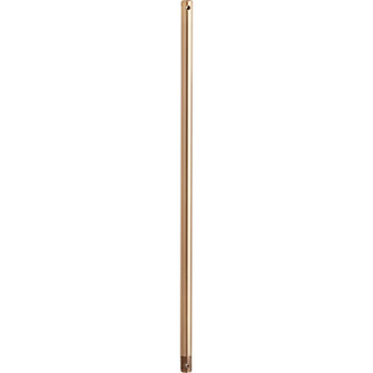 24 in. Downrods Downrod in Aged Brass (19|6-2480)