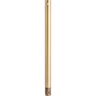 12 in. Downrods Downrod in Aged Brass (19|6-1280)