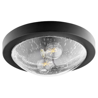 3502 Contempo Ceiling Mounts Two Light Ceiling Mount in Textured Black w/ Clear/Seeded (19|3502-13-69)